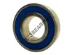 6004-2RS-INOX-NSFH1