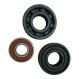 6202-ZZ-C4-VT220-250
