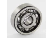 6300-SKF
