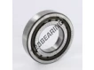 NUP209-ECP-SKF