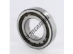 NUP209-ECP-SKF