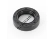 OAS-19X30X8-NBR