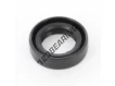 OAS-19X30X8-NBR