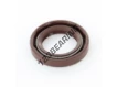 OAS-22X35X6-FPM