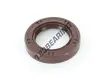 OAS-60X70X10-FPM