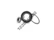 R159-47-SNR