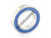 S6007-2RS-GA351-ZEN