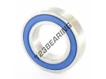 S6007-2RS-GA351-ZEN
