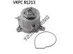 VKPC81213-SKF